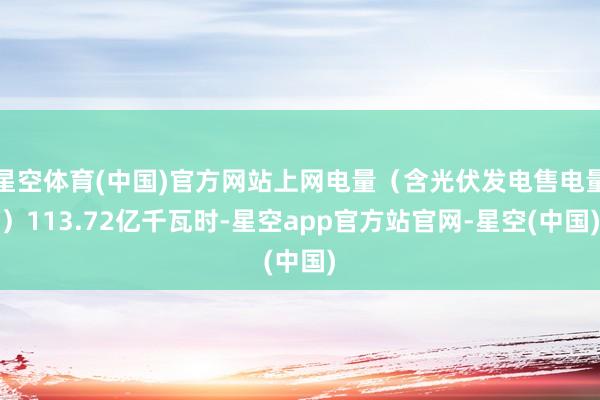 星空体育(中国)官方网站上网电量(含光伏发电售电量)113.72亿千瓦时-星空app官方站官网-星空(中国)