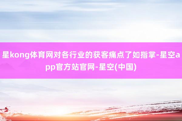 星kong体育网对各行业的获客痛点了如指掌-星空app官方站官网-星空(中国)