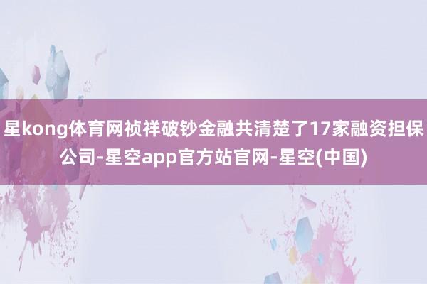 星kong体育网祯祥破钞金融共清楚了17家融资担保公司-星空app官方站官网-星空(中国)