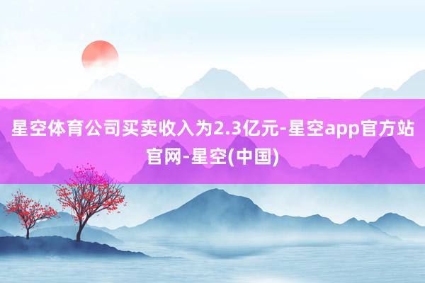 星空体育公司买卖收入为2.3亿元-星空app官方站官网-星空(中国)