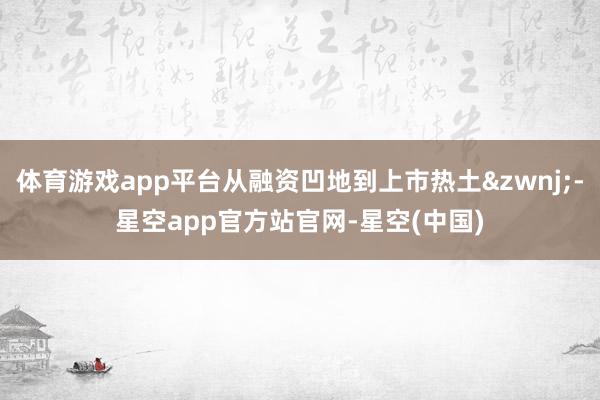 体育游戏app平台从融资凹地到上市热土&zwnj;-星空app官方站官网-星空(中国)