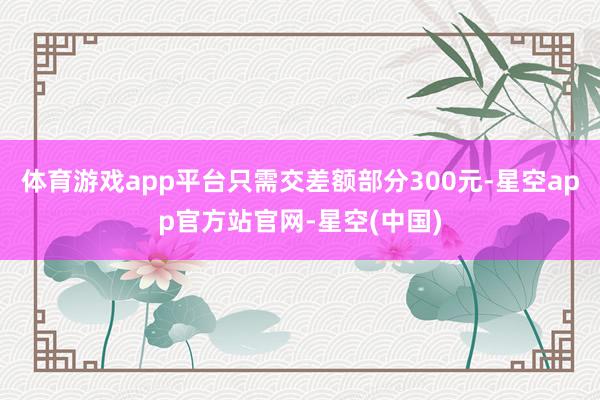 体育游戏app平台只需交差额部分300元-星空app官方站官网-星空(中国)