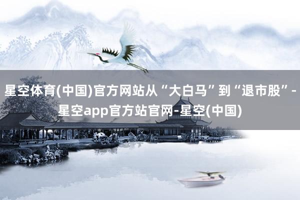 星空体育(中国)官方网站从“大白马”到“退市股”-星空app官方站官网-星空(中国)